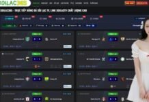 The Digital Frontier of Modern Football Consumption and Real Time Scheduling The Importance of Constant Information Cycles